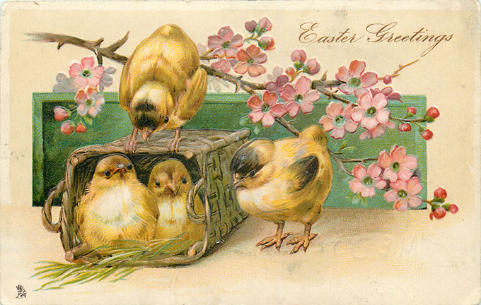 Vintage Easter images - printable Tuck postcard image - chicks and flowers