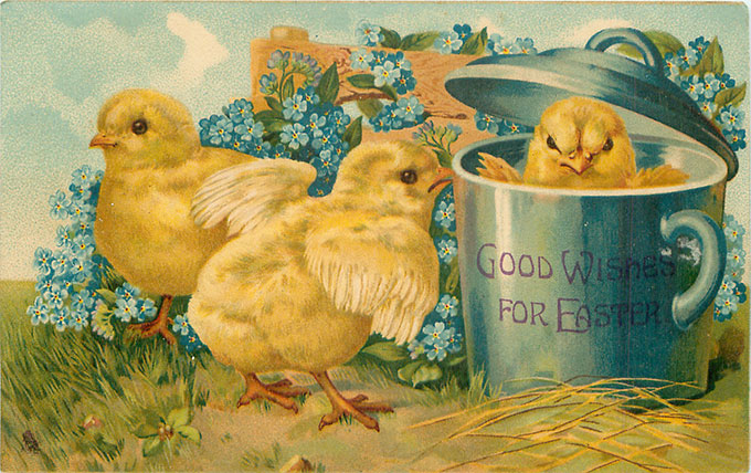 Vintage Easter images - printable Tuck postcard image - chicks in pot