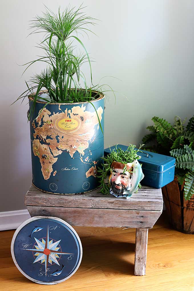 Repurposed thrift store finds used as planters