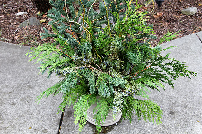 winter-evergreen-planter-6045