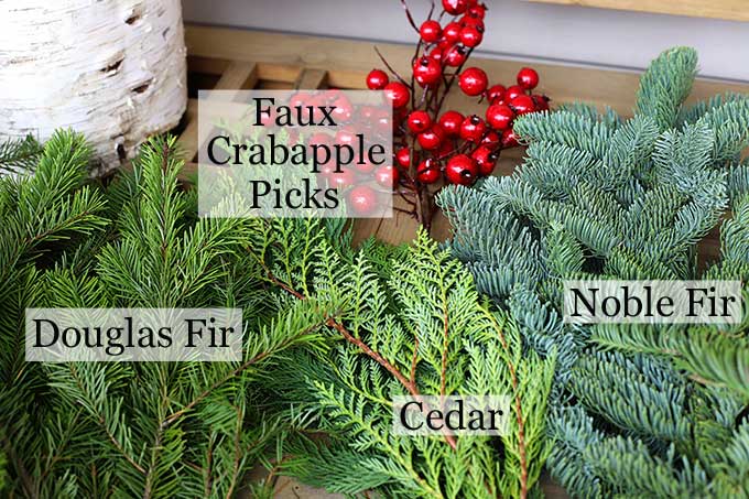 types pf pine branches for holiday decor