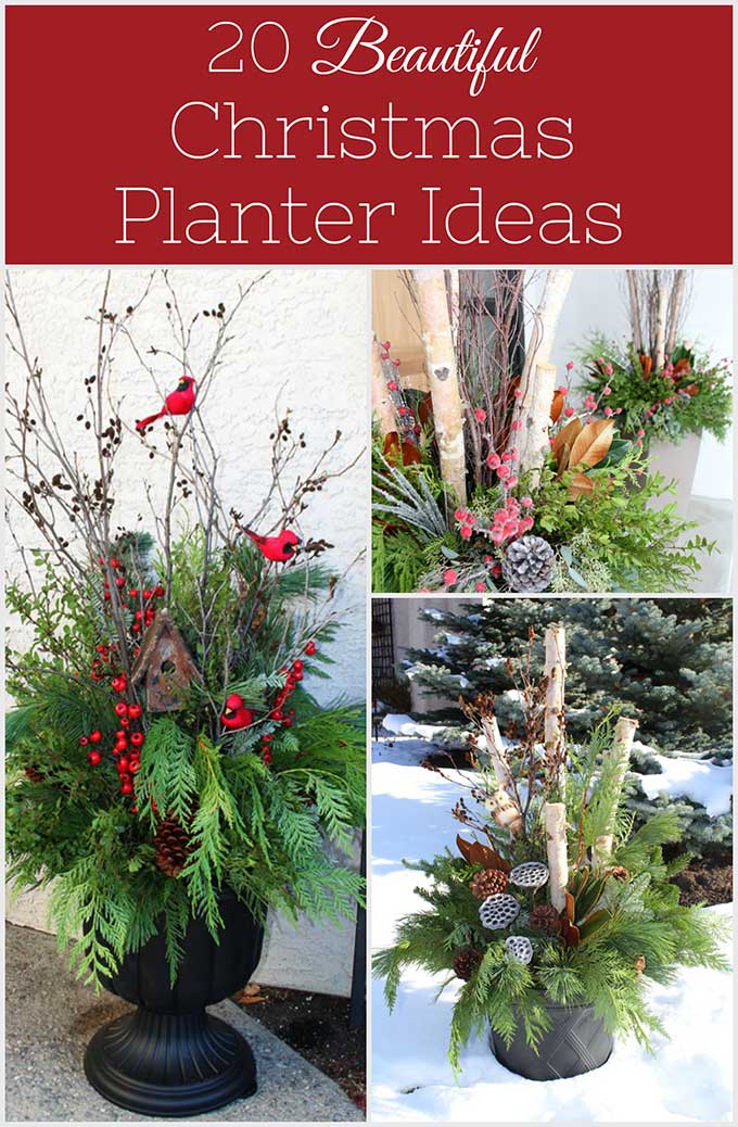 Beautiful winter planter ideas for your outdoor Christmas decorations. These versatile winter planters can decorate your porch November through February. 